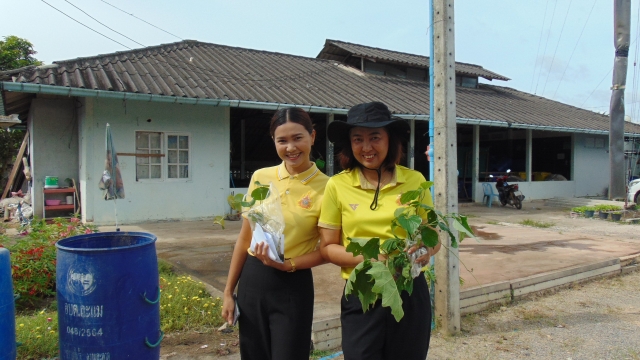 โครงการ 1 อปท. 1 สวนสมุนไพร